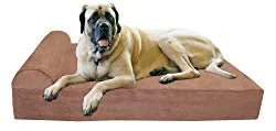 barker.webp
