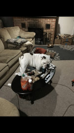 Screenshot_20190310-231231.png Screenshot_20190310-231231.png
