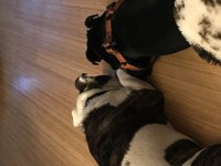 1735249F-5E86-459C-92E4-104C2450B14B.jpeg