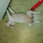 20170803_171405.webp