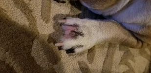 20180919_203206.webp