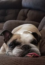 20180918_203139.webp