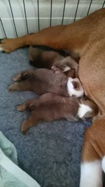 IMG-20190313-WA0006.webp