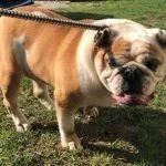 Ethel10-150x150.webp Ethel10-150x150.webp