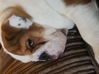 20180110_141759.webp