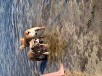 beach.webp