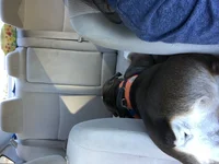 IMG_0104.webp IMG_0104.webp