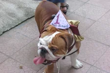69C94886-FFF9-4665-8442-1F525FF41364.webp