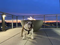 Ernie winter 2019.webp Ernie winter 2019.webp