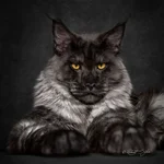 06547D18-204D-490A-9B50-98AC8A86F14F.webp