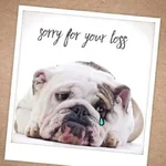 Bulldogs 33.webp