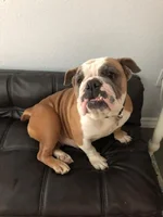 mabel.webp