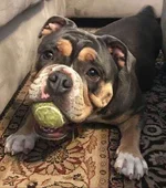 coco.webp coco.webp