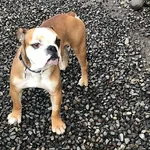 tucker.webp tucker.webp