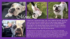 mona.webp