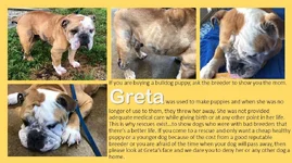 greta.webp