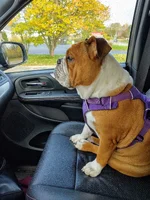 Lexi Riding.webp Lexi Riding.webp