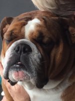 Gabe sleeping 1.jpg