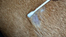 IMG_20200127_062524.webp