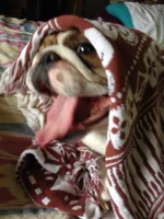 Smiling Nigel.webp