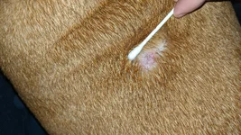IMG_20200127_062512.webp