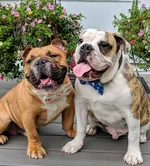 MVIMG_20180704_181806.webp