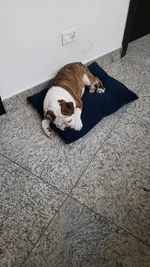 IMG-20190401-WA0029.webp