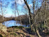 2castor2Feb20.webp