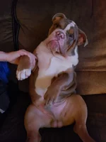 20190301_211416_resized_1.webp