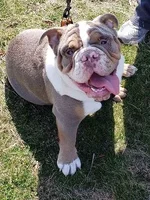 20190412_195525_resized (002).webp