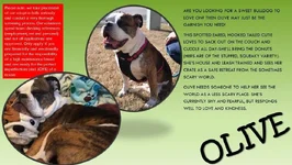 olive.webp