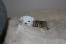 IMG_7454.webp