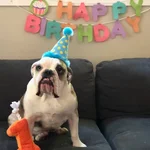 IMG_20181018_140237_691.webp