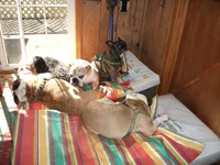 DSCF3677.webp