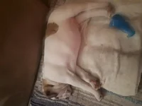 sleeping.webp