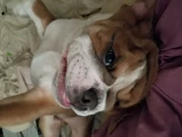 20180126_091356.webp