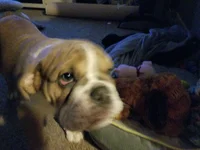 20180129_205454.webp