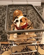 20180202_135837.webp