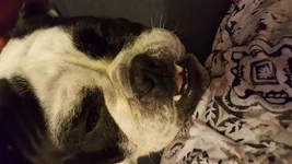 20180907_131556.webp