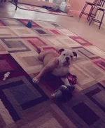 C360_2018-02-03-08-35-25-407.webp