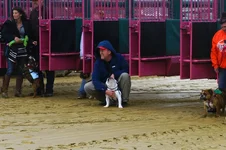 DSC08789.webp DSC08789.webp