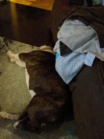 IMG_20200225_234705.webp