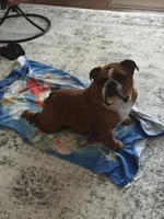 Gabe doing yoga 1.webp