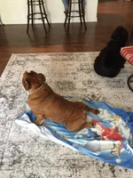 Gabe doing yoga.webp