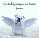 BullyAngel1.webp BullyAngel1.webp