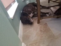 20180913_093933.webp