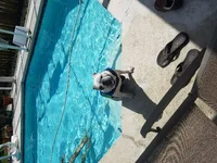 20170706_160707.webp