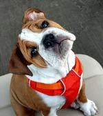 Lexi -September.webp