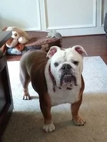 Buster2.webp