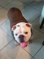 Buster1.webp